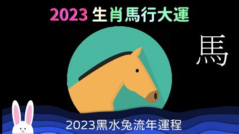 屬馬2023運勢